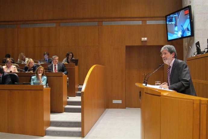 Adolfo Barrena interviene en las Cortes ante la mirada de la presidenta Rudi