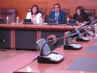 Buruaga denuncia el "fraude" de 1,5 millones de PRC-PSOE, que pagó de más a 696 plazas de atención a dependencia