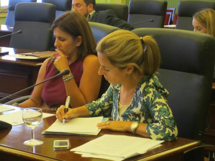 Rosa Bauzá En Comisión