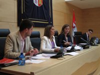 Grupo Mixto considera que las modificaciones en Dependencia responden al "interés" de beneficiar al sector privado