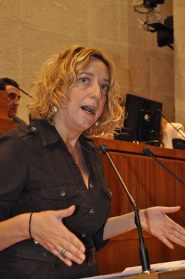 Patricia Luquin, diputada de IU