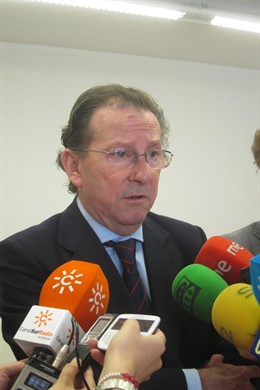 El consejero de Justicia e Interior de la Junta de Andalucía, Emilio de Llera.