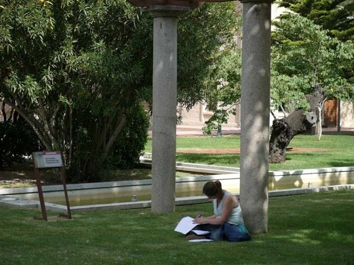 Universitario, Alumno, Universidad, Estudiante