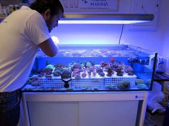 La Empresa Andalucía Marina, Premio Iniciativa Emprendedora AJE 2011.