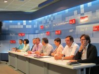 El Comité Regional del PSN aboga por "aglutinar una mayoría social de progreso" en torno al partido