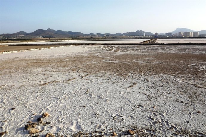 Estado de las salinas de Marchamalo 