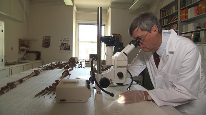 Laboratorio contra el crimen'