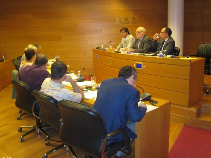 Comisión De Control De La CAM