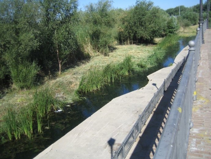 Obras en el Tajo a su paso por Talavera