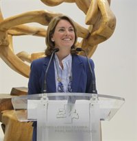 Convocada la Diputación Permanente para el martes con el fin de  debatir sobre la convocatoria del CVF