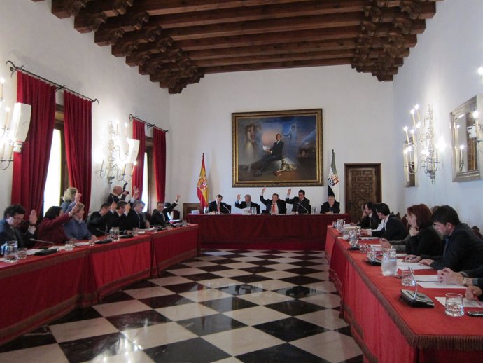 Pleno De La Diputación De Cáceres 