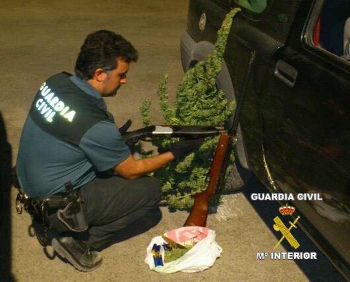 Escopeta Y Marihuana Intervenidas En Una Operación