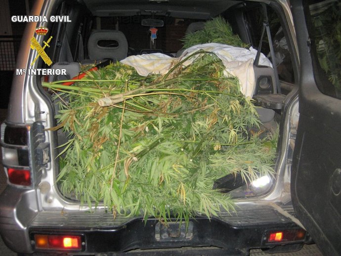 Vehículo Cargado De Marihuana