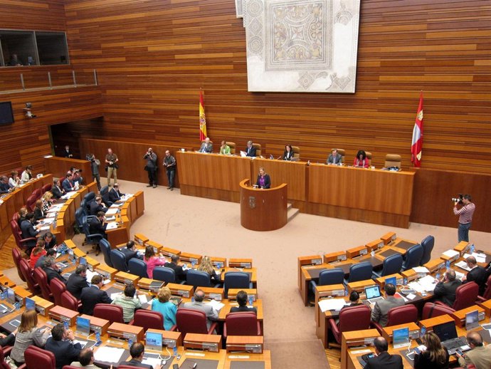 Intervención De Del Olmo En El Pleno