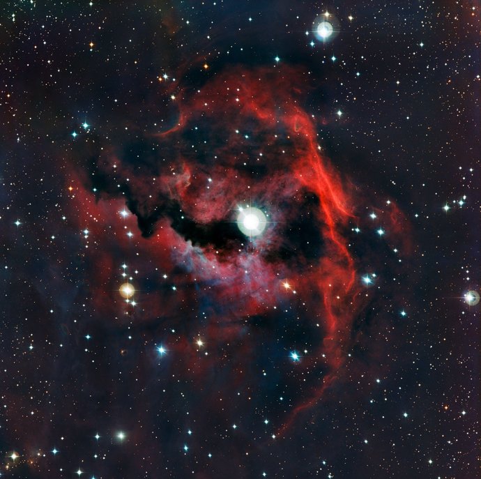 Guardería estelar en la nebulosa de la Gaviota