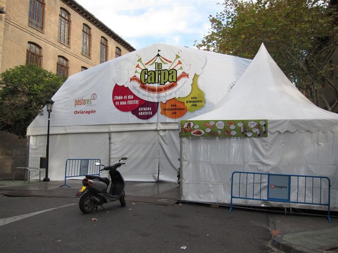 Carpa del Ternasco de Aragón