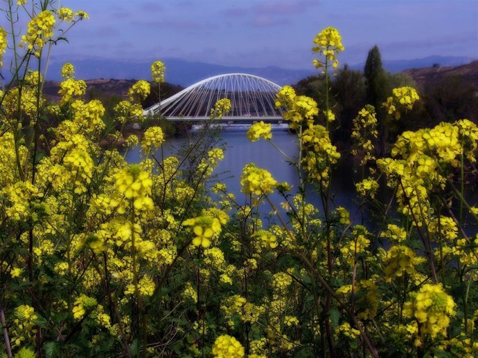 Imagen del cuarto puente