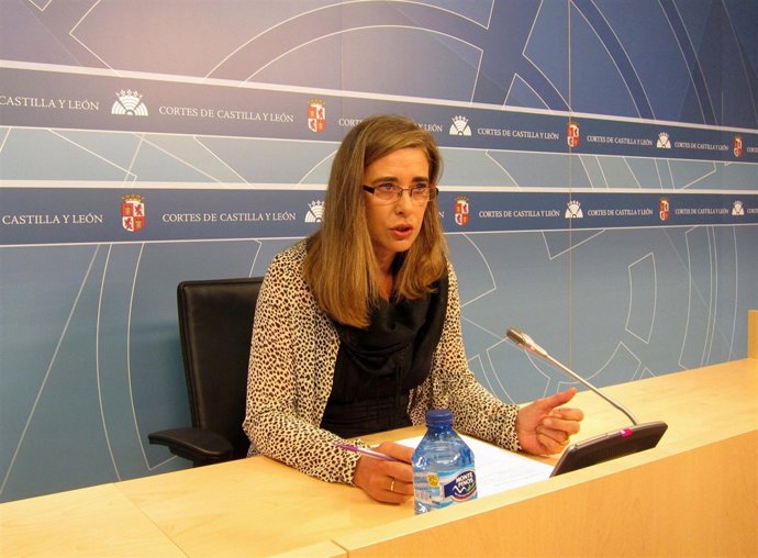 La Procuradora Ana Muñoz De La Peña Ofrece Una Rueda De Prensa