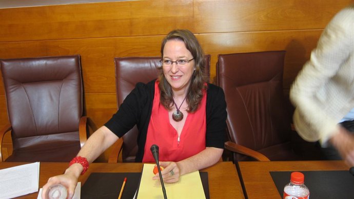 Comparecencia de la consejera de Presidencia y Justicia en el Parlamento