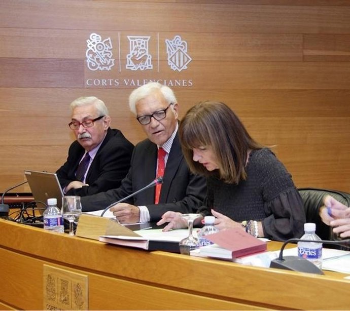 El Síndic De Comptes En Las Corts