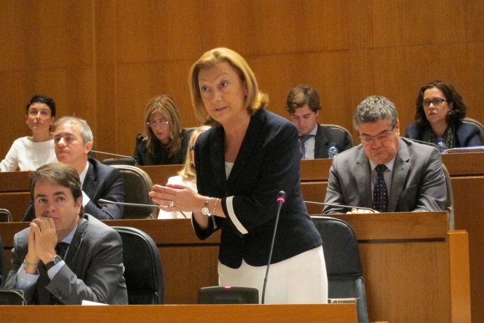 Luisa Fernanda Rudi, en la sesión plenaria de hoy