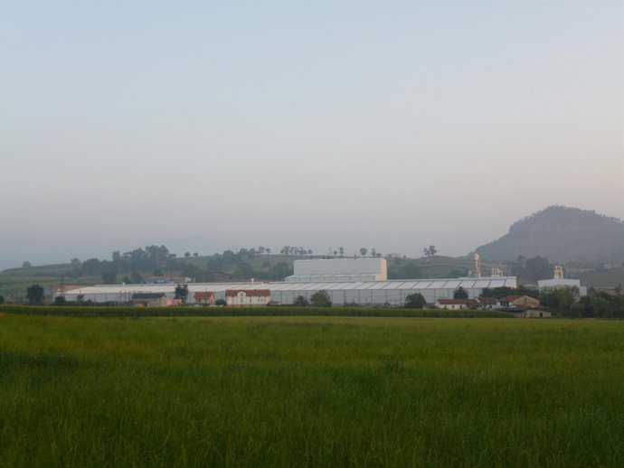 Planta Fermacell en Orejo (antigua GFB)