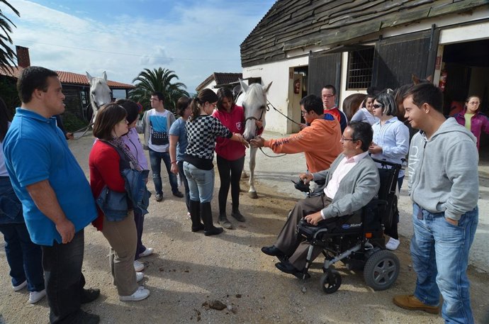 Jornada de convivencia con caballos