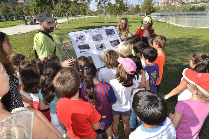 Dia Mundial de las AVES