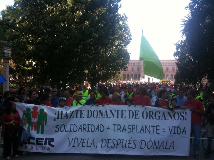 Cabecera De La Marcha Pedaladas De Vida En La Plaza De España De Sevilla