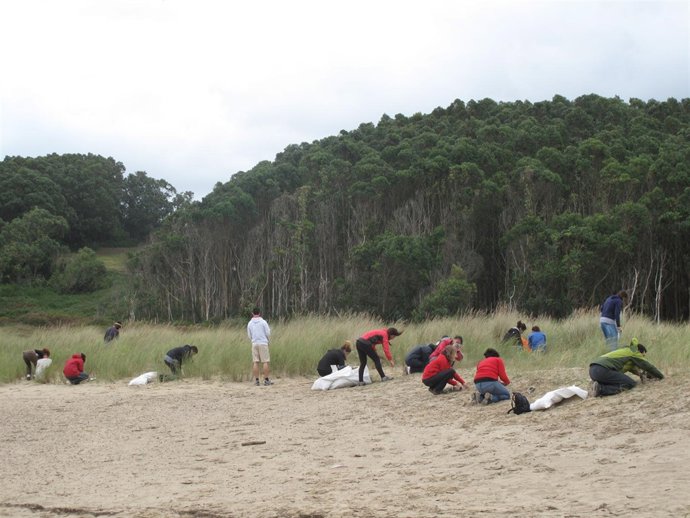 Voluntariado ambiental