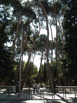 Parque Miguel Servet De Huesca