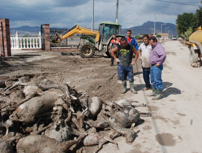 Manuel Soler en su visita a zonas afectadas por inundaciones
