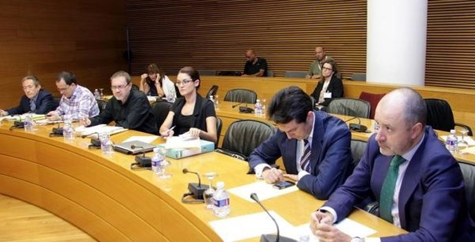 Comisión De Investigación De La CAM En Las Corts