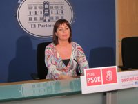 El PSIB pide a Bauzá que reclame que Baleares llegue a la media de inversión en los Presupuestos