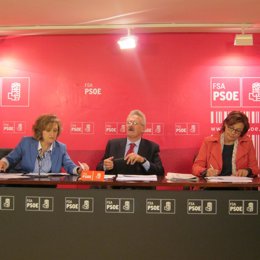 Los Diputados María Luisa Carcedo, Antonio Trevín Y Mariví Monteserín