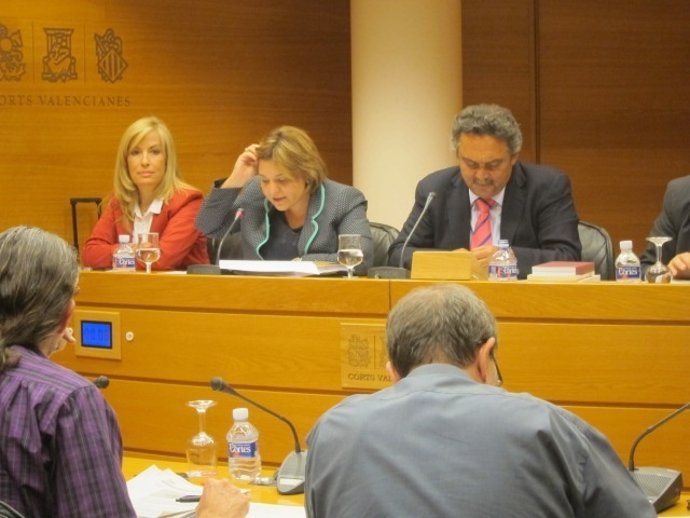 Bonig En La Comisión Parlamentaria