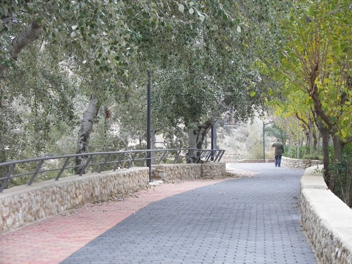 Avenida peatonal Archena