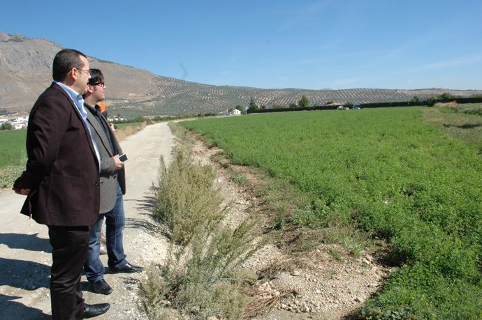 2 N.P. PSOE Repercución PGE 2013 Costa Y Producción Ecológica Granada 20121002