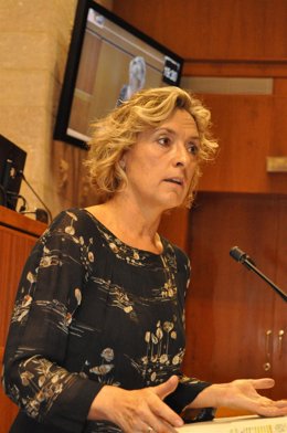 Nieves Ibeas en las Cortes de Aragón