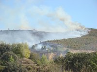 Incendios.- Torres-Dulce, preocupado por los incendios, advierte de que la meteorología no es la única explicación
