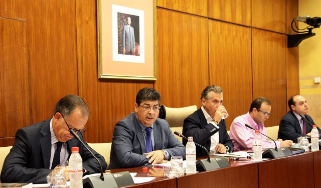Valderas, en comisión parlamentaria