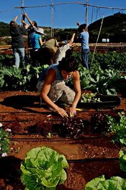 Curso de agricultura ecológica