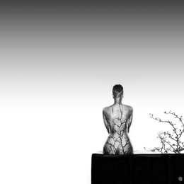 Obra De Vernin Trent Que Se Exhibirá En 'Abierto Arte'