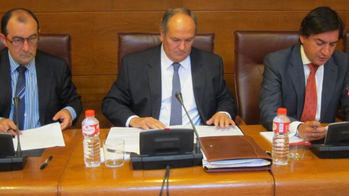 El consejero Javier Fernández, en el Parlamento