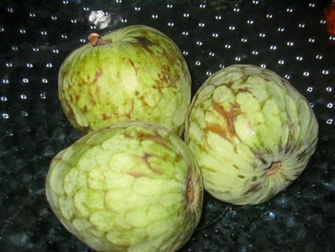 Fruta Producto Subtropical Chirimoya Campo Málaga Comarca Axarquía