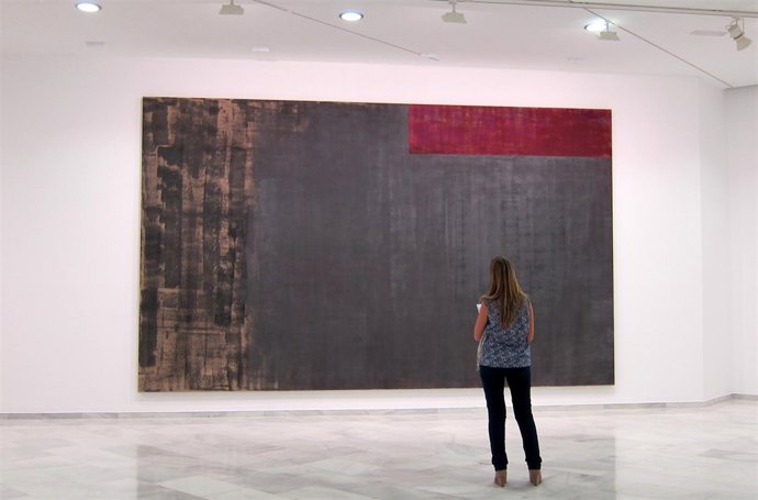 Visitante En La Exposición 'Helmut Federle Esencial' En Centro Cultural Bancaja