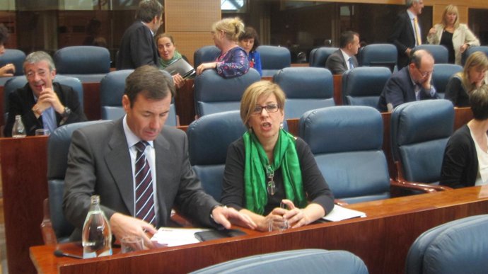 Gómez durante el Pleno de la Asamblea.