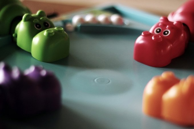 Foto: RENATA MIYAGUSKU/FLICKR/CC