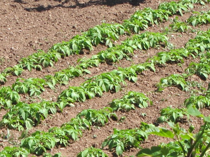 Más De 45.000 Agricultores Se Verán Beneficiados