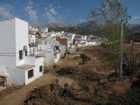 Hernández Mollar dice que se trabaja en las ayudas y estima que los daños rondarán los 25 millones